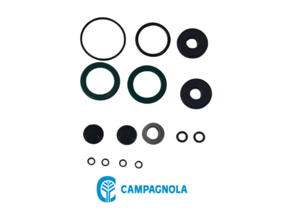 Kit guarnizioni CAMPAGNOLA per abbacchiatore Tuono Diablo - Colibrì 1800