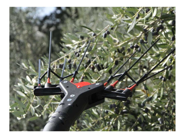 Abbacchiatore per olive elettrico Castellari Vertigo Carbon L 12V - immagine 3
